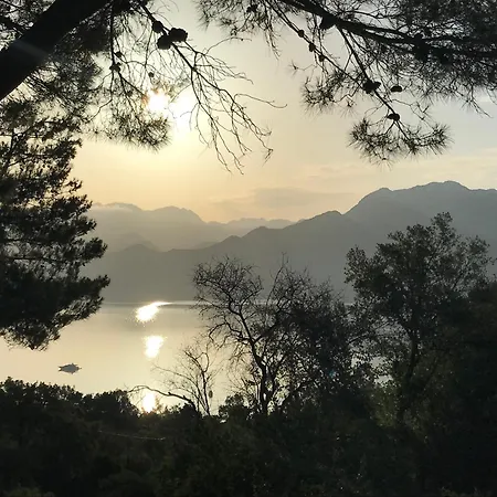 Selimiye Orman Evleri Chalet Marmaris