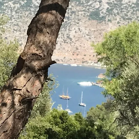 Selimiye Orman Evleri Alpstuga